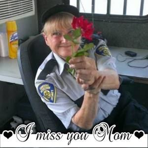 Meet your Posher, Robin